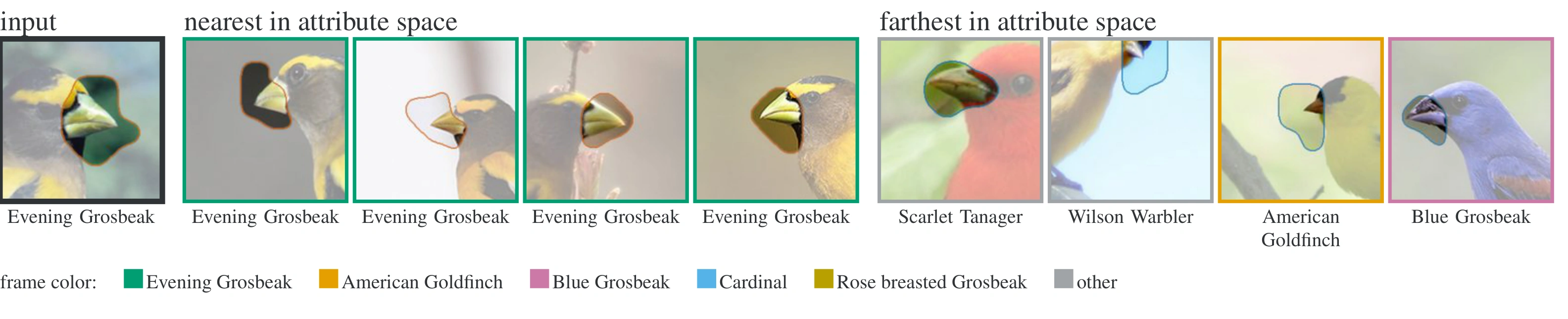 Supplementary beak concept example showing an Evening Grosbeak input and its nearest and farthest attribute matches.