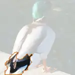 Mallard