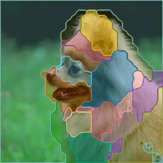 Pomeranian, concepts