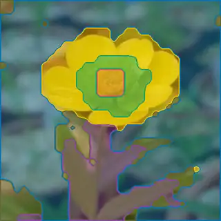 buttercup, concepts