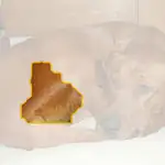 redbone