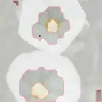 silverbush
