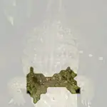 African crocodile