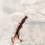 sidewinder